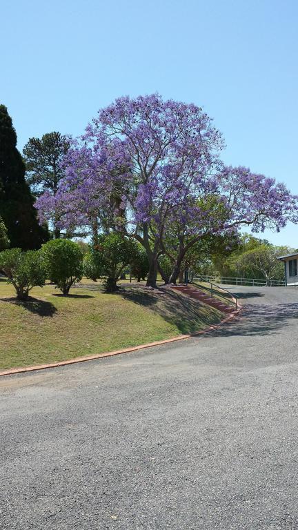 Jacaranda Motor Lodge Grafton Luaran gambar