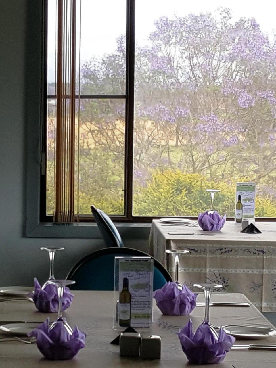 Jacaranda Motor Lodge Grafton Luaran gambar